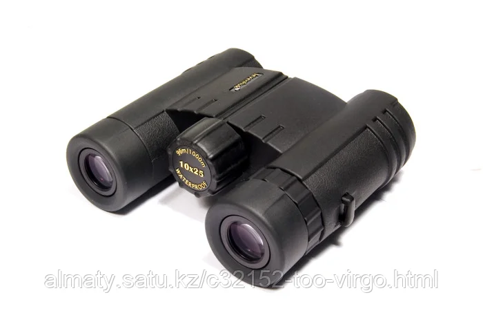 Бинокль Levenhuk Monaco 10x25